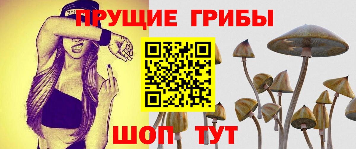 Галлюциногенные грибы MAGIC MUSHROOMS Новокубанск